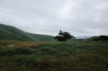 山