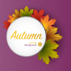 Autumn round banner background with maple leaf