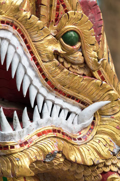 Closeup of a headed Naga