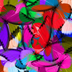 Obrazy na Szkle  Egzotyczne tło z fantazyjnych motyli Chocolate Albatross w różnych kolorach, piękna faktura