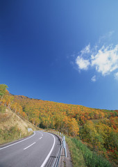 Carretera camino asfalto