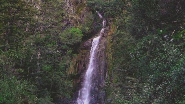 A bush water fall in slow motion in New Zealands south island