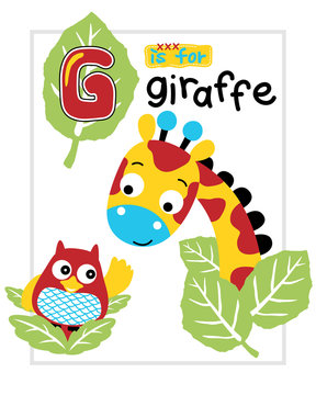 Vector illustration of giraffe and owl cartoon