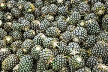 Pineapple pattern for background.