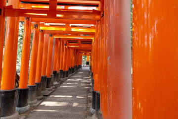 Kyoto Fushimi Inari Shrine