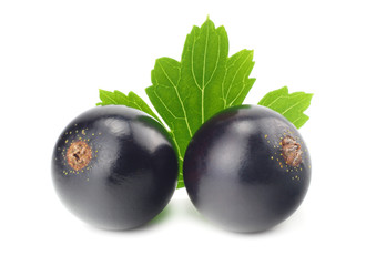 black currant with green leaf isolated on white background. macro