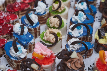 Beautiful food, decoration of banquets and celebrations.