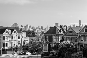 Painted ladies in San Francisco