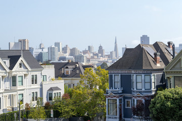 Painted ladies in San Francisco