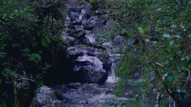 A bush water fall in slow motion in New Zealands south island