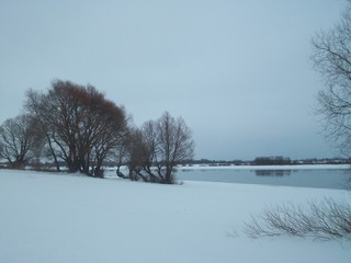 winter landscape with river and trees