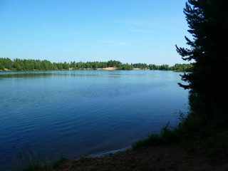 lake in the forest