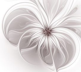 Monochrome fractal flower on a white background