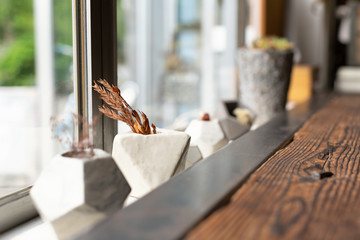 Flowers in pots near the window