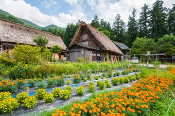 traditional Japanese village at shirakawago, Japan