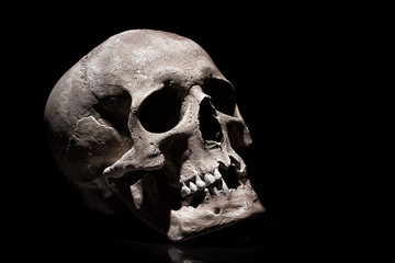 Human skull on black background with reflection close up