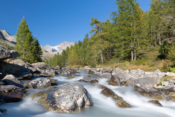 Valle di Predarossa, Alpi, Italia