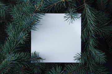 Creative layout made of winter evergreen tree branches with paper note or greeting card. Nature  Christmas concept. Flat lay.