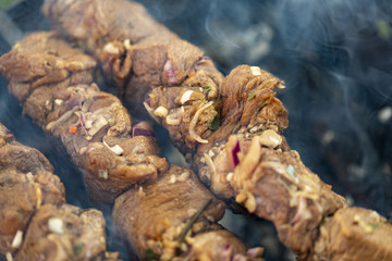 Shashlik on a stick in smoke