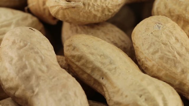 Noccioline americane