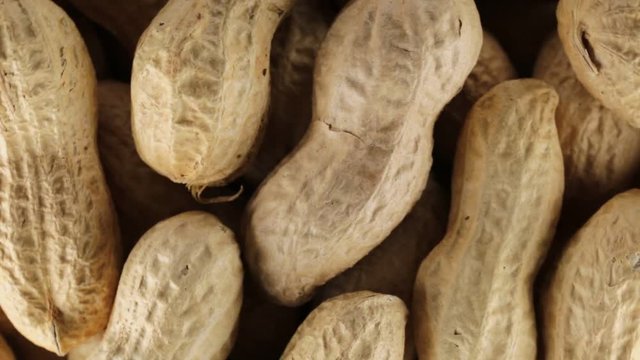 Noccioline americane