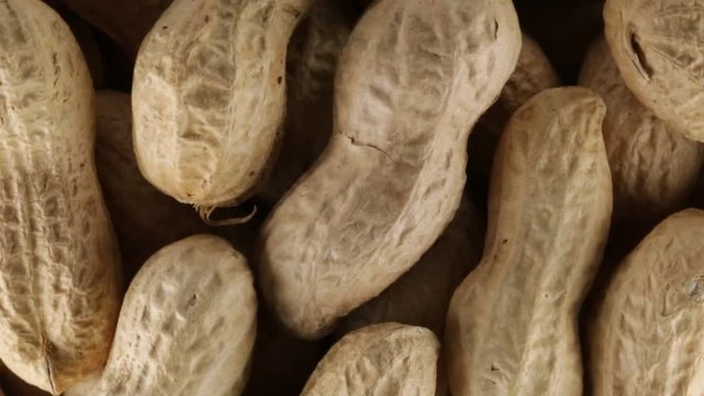 Noccioline americane