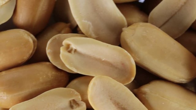 Noccioline americane