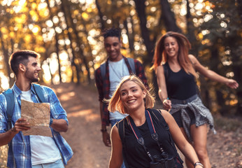 Group of four friends hiking together through a forest.