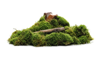 Green moss with rocks and branches isolated on white background