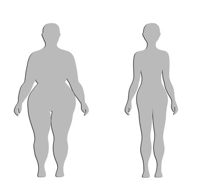 silhouettes of a thick and normal female figure. vector illustration.