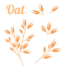 Cereal plants, agriculture industry organic crop products for oat groats flakes, oatmeal packaging design.