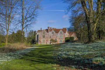 Fototapeta na wymiar Snowdrops at Chawton House ,Hampshire