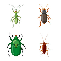 Vector illustration of insect and fly symbol. Set of insect and element vector icon for stock.