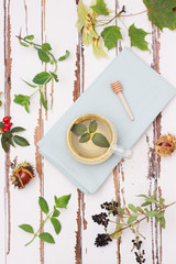 kräutertee im herbst © Anja Greiner Adam