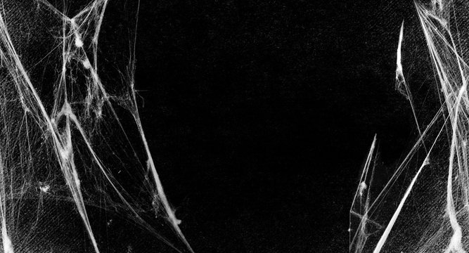 Spiderwebs isolated on black grunge background. Cobweb in the corner, Gothic design