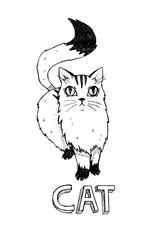 Cat on a white background. Handmade, hand drawn vintage illustration.