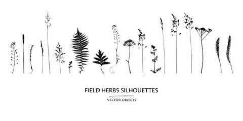 Vector silhouettes collection. Set of field flowers, herbs.
