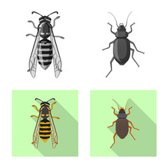 Vector illustration of insect and fly symbol. Collection of insect and element stock vector illustration.