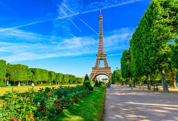 Poster Paris Eiffel Tower and Champ de Mars in Paris, France. Eiffel Tower is one of the most iconic landmarks in Paris. The Champ de Mars is a large public park in Paris © Ekaterina Belova