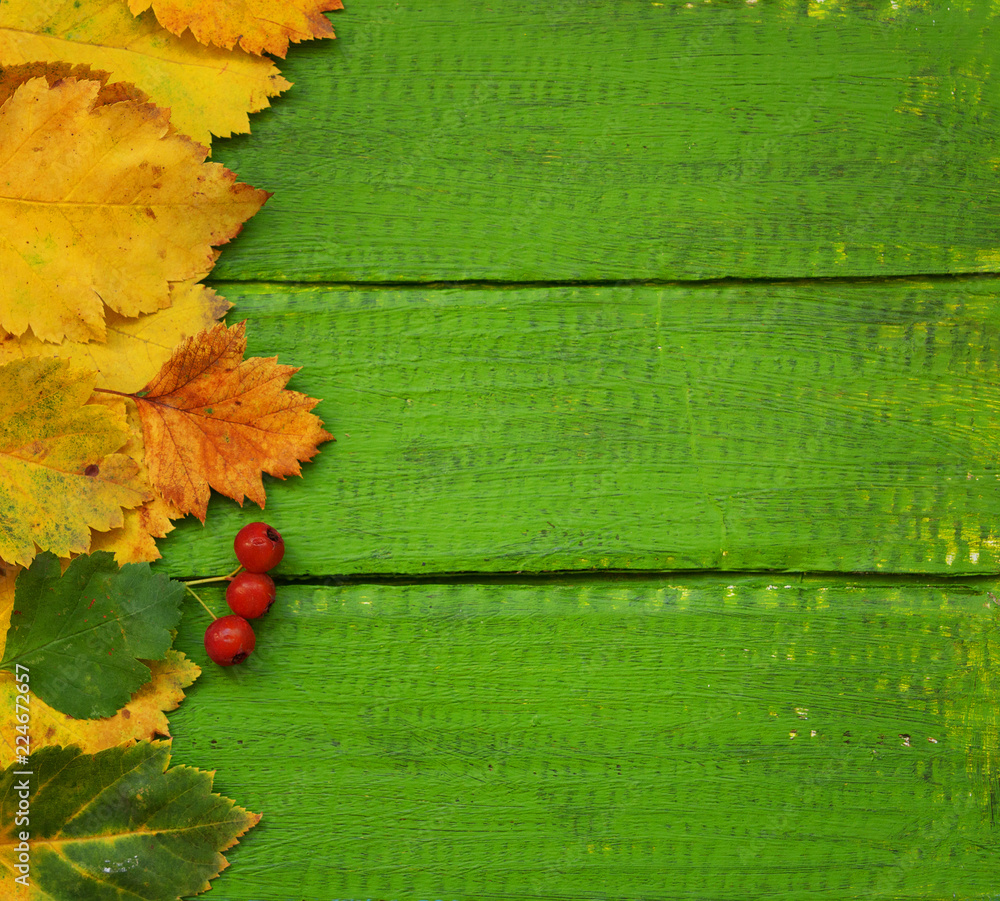 Wall mural Autumn background yellow and green leaves on the left  side  on a wooden green board. 