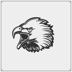 Emblems with Eagle head. Template for sport club design.