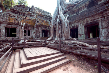 Fototapeta na wymiar Buddha Temple in the nature of cambodia
