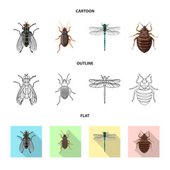 Vector design of insect and fly symbol. Collection of insect and element stock vector illustration.