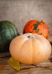 Pumpkin and squashes on wooden background 