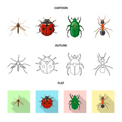 Vector design of insect and fly icon. Set of insect and element stock symbol for web.
