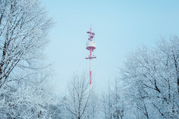 A red and white television tower, a tower for broadcasting a signal in a frosty forest against a...