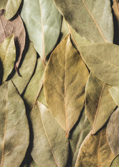 full frame view of aromatic dried bay leaves background