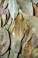 top view of aromatic dried bay leaves background