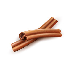 Realistic dried cinnamon sticks vector spice and