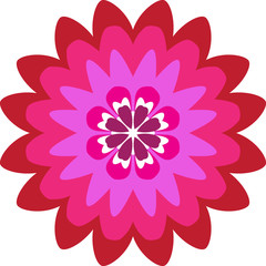 patterns graphic floral abstract